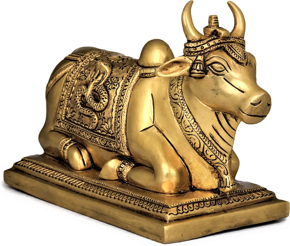 Nandi Bull Idol