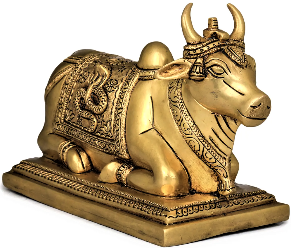 Nandi Bull Idol